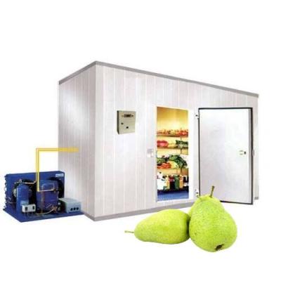 China New Design Food Cold Storage / Cold Room With Storage Bag Low Price for sale