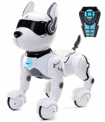 China Toy Animals Smart Rc Kids Educational Pet For Intelligent Battery Transform Diy Pet Electronic Walking Toy Robot Dog Box for sale