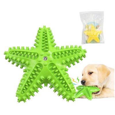 China Sustainable Durable Elastic Star Squeaky Pet Dog Molar Bite Activity Toys Dog Toothbrush Chew Toy for sale