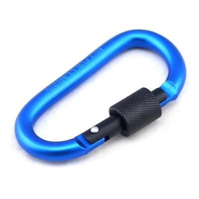 China Emergency Survival Kit OEM Brand Carabiner Aluminum D-Ring Locking Hooks Security For Camping Climbing Hiking for sale