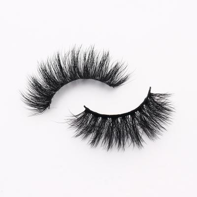 China Long Charming style top quality natural beauty new false mink 3d mink eyelashes 5d silk private label for sale