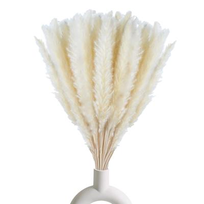 China Durable Artificial Natural Fake Pampas Grass Large Small Dried White Decorative Pampas Grass Bouquet Fluffy Wall Decorative for sale