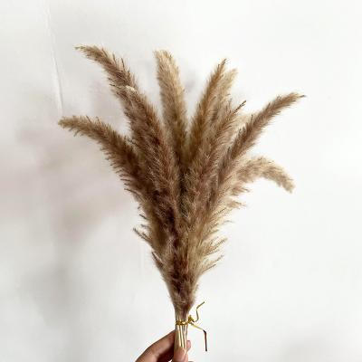 China Eco-friendly Dried Flower Bouquet Decor Artificial Pampas Grass Small Dried Pampas Grass Bouquet For Wedding Party Decor for sale