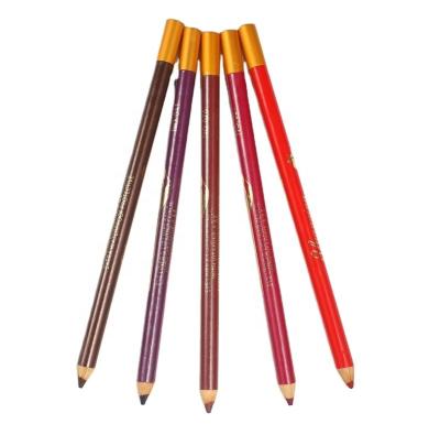 China Best Price Waterproof Wholesale Cosmetics Waterproof Lipliner Lip Liner Pencil for sale