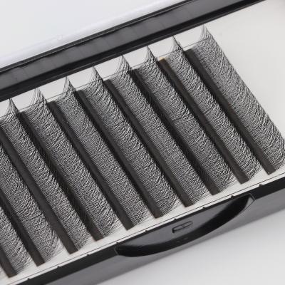 China Long Natural Hot Sale 8-14mm CC Curl W Lashes Sellers Supply .05 .07 yy W Shape Clover Eyelash Matte Black Easy Fanning Eyelash Extension for sale