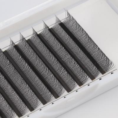 China Wholesale Korean Easy Clover Lash Matte Black 12 Row W YY Eyelash Extension Full Volume Fan 3D 4D 5D Clover Highlights Premade Fans for sale