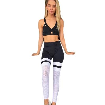 China New Yoga Fitness Antibacterial Sports Leggings Tights Mesh Yoga Pants Women Workout Tights Women Yoga Tights for sale