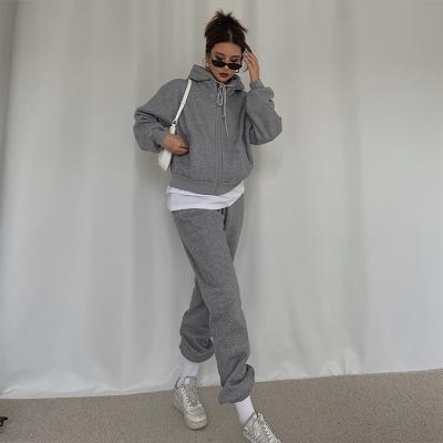 China QUICK DRY custom logo drop winter zipper hoodie and sweat pant set oversized joggling causal hoodie set set for sale