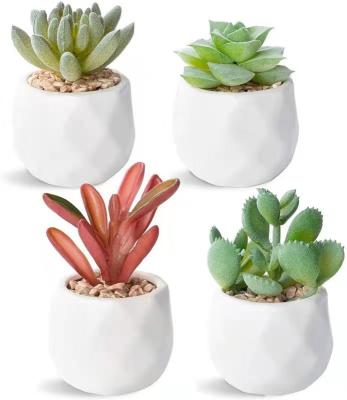 China Factory Directly Potted Traditional Colorful Assembled Mini Artificial Succulent Plants in White Ceramic Cube-Shape Planters, Set of 6 for sale