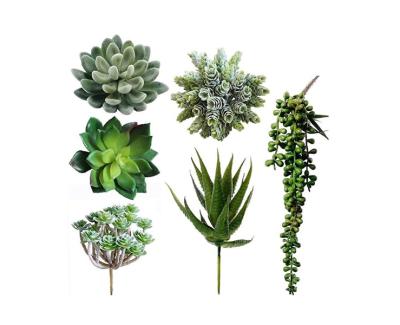 China Traditional Artificial Succulents Mixed Styles About 10cm Mini Different Plants For Home And Office Decoration DIY Accessories for sale