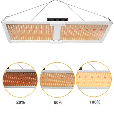 China Seed Starting 240W Lm301b LED Board Panel 660nm Full Spectrum LED Grow Lights for sale