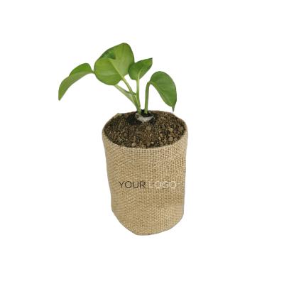 China Eco-friendly Jute Cloth Wholesale Flower Nursery Supply Custom Plant Vegetable Grow Plant Jute Grow Bags for sale