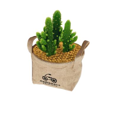 China Eco-Friendly Grow Pots Hydroponics Office Decor Eco Natural Jute Custom Grow Bags For Plants for sale