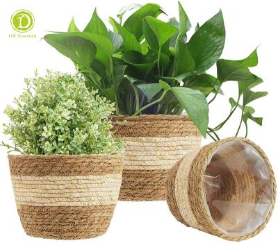 China Garden Decoration Plant Pot Woven Storage Baskets Vegetable Plankton Basket Planters CLASSIC for sale