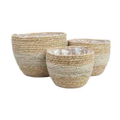 China Viable Plant Plankton Storage Basket Flower Pot Plant Plankton Woven Natural Handmade Box for sale