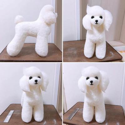 China Viable poodle dog model with white furs for grooming practice, groomer sponsor at creative groomer model dog contest for sale