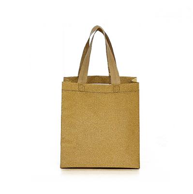 China New Recycable Shopping Bag/PP Bag/PP Fashion Non Woven Eco-Friendly Nonwoven Bag for sale