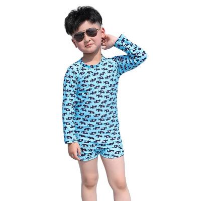 China Breathable Children's Hot Spring Bathing Suit Children's Swimwear Sun Protection for Boys and Girls Split Baby Swimwear for sale