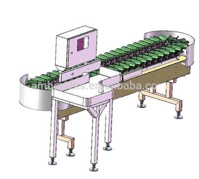 China Garment Shops Lobster Weight Grading Machine Factory Built Weight Sorter Machine Fish Sorter for sale