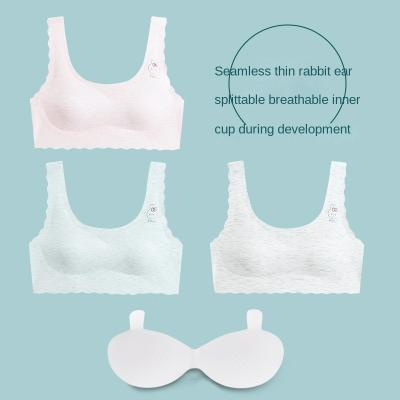 China Youth Girl Antibacterial Modal Traceless Bra Comfortable And Breathable Rabbit Ear Bra for sale