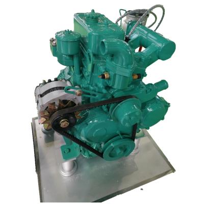 China 19kw Small Power Portable Natural Gas / Biogas Engine For Generator Set And Water Pump LY2.2G-G19 for sale