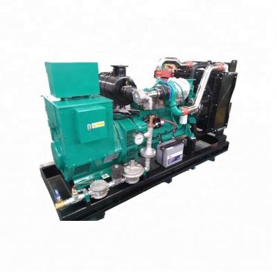 China Combined Production 100KW Gas Generator with PCCE LY6DG100KW for sale