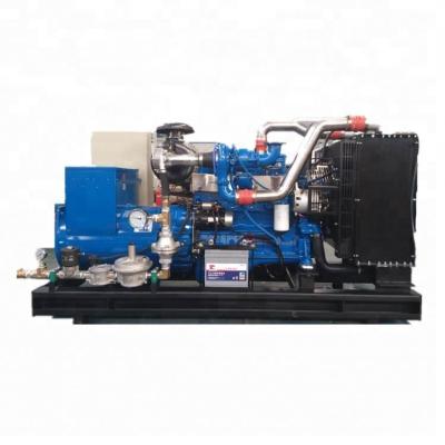 China bio gas 50kw / biogas generator LYBGMS50KW for sale