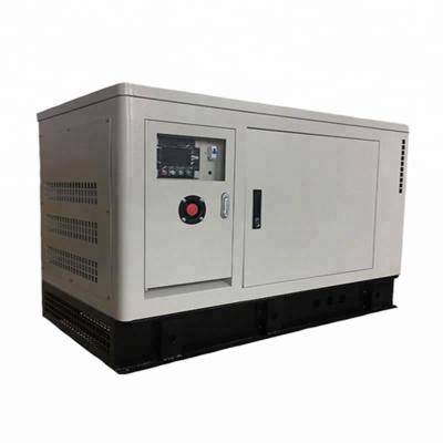 China 10kw 12kw Mini Methane Gas Turbine Natural small size silent micro gas generator price for home use LY1.73G10KW for sale