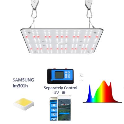 China Seed Starting Fashion Trend ETL Listed High PPFD 240W LED Grow Light With Full Spectrum Lamp 660nm For Home Horticulture for sale