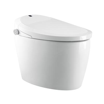 China Modern Chinese Toilet Manufacturer Modern Sanitary Ware Smart Bathroom Smart Home Toilet for sale