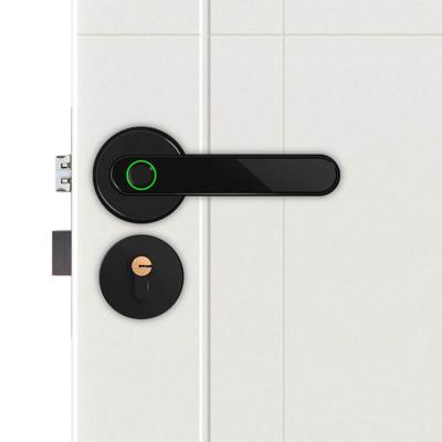 China Apartment Trodos Security Protection Open Electronic Door Fingerprint Lock Smart Locks for sale