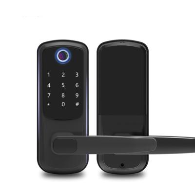 China Apartment Trodos Protection Method Multifunctional Openable Door Locks For Home Fingerprint Smart Lock for sale