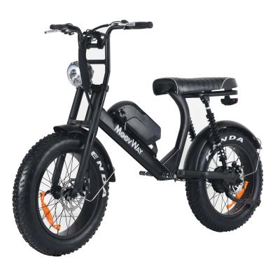 China Packing hot selling big power ebike fat tire folding electric bike for sale