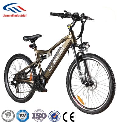 China Standard Strong Powerful Electric Mountain Bike With Hidden Battery for sale