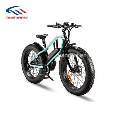 China Factory price quality PAS/TAG standard electric bicycle function mountain bike for sale