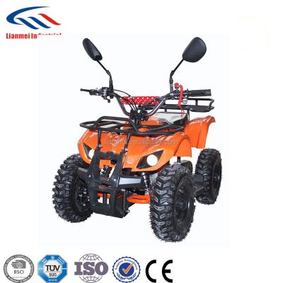 China 49cc quad mini atv with big tire with CE/EPA LMATV-049HM 2 STROKE LMATV-049HM for sale