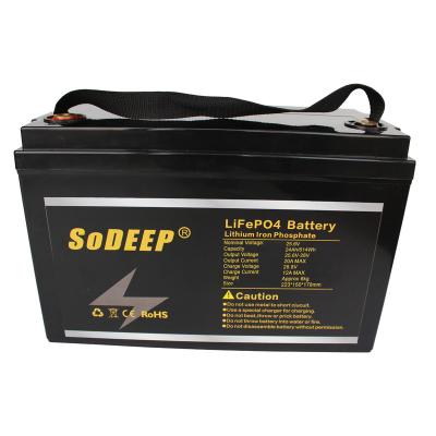 China Video Game Player Deep Cycle 8000 Times 24V Lifepo4 Golf Cart Battery 160Ah WITH BMS 100A for sale