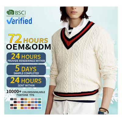 China Custom CaiNan Designer Anti-Wrinkle Cashmere Wool Varsity Sweater Luxury Mens Designer Jumper Cable Knit V Neck Cricket Sweater Men for sale