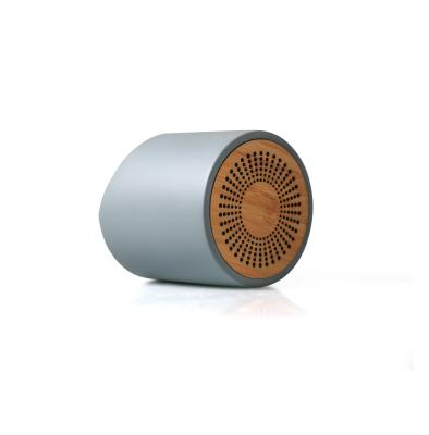 China No BL Biodegradable Cement Bamboo Portable Concrete Speaker High Quality Eco - Friendly for sale