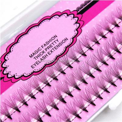 China Professional Loop Makeup Group Eyelashes Different Graft Individual False Eyelashes Eyelash Extension for sale