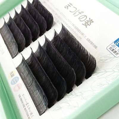 China Natural Products Customized Private Label Eyelash Extension Long Package Makeup Eyelash Extension For Factory Price for sale