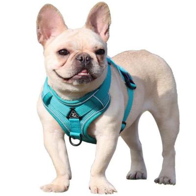 China Luxury 3M Padded Reflective Pet Vest Mesh Padding No Slack Pull Front Range Dog Harness Leash Set for sale