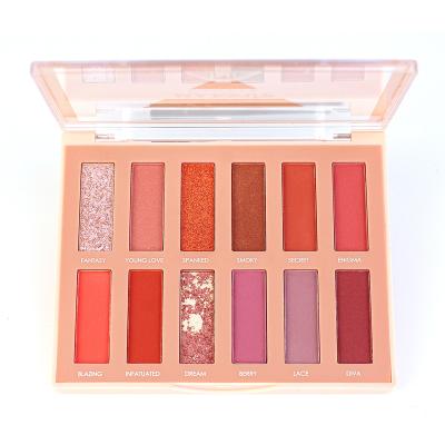 China Waterproof Romantic Style High Quality Fine Texture 12 Colors Acrylic Eyeshadow Palette for sale