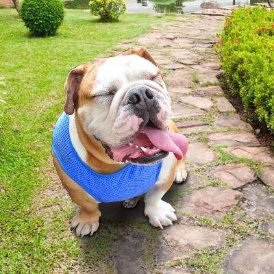 China Summer Viable Direct Factory Direct Dog Vest Fabric Quick Dry Pet Cooling Harness For Dog Cat for sale