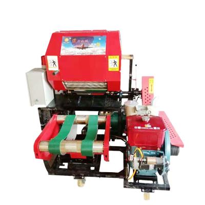 China Hay High Quality High Productivity Round Wood and Pine Straw Baler Press Machine for sale