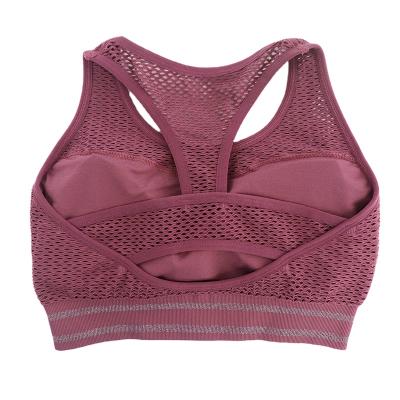 China Breathable Women Sports Bra Top Fitness Breathable Net Sports Bra Top Plus Size Sports Bra for sale