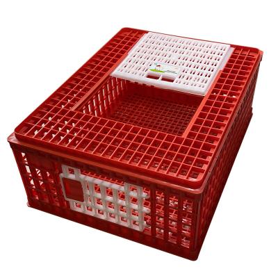 China Long Life Baby Chick Crate Transport Cage For Baby Chicken Chicks Poultry Transport Equipment LM-90 for sale