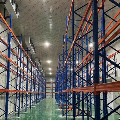 Cina Professional Grade Freezer Cold Room for Safe and Hygienic Storage of Goods in vendita