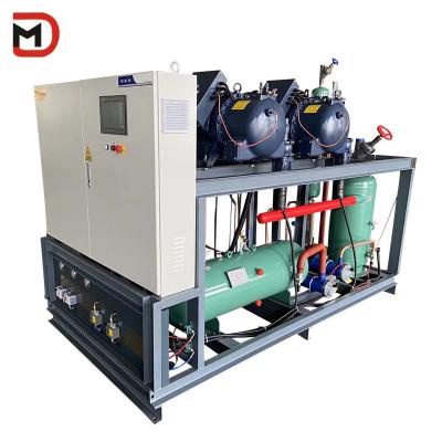 China Metal Screw Parallel Unit Condensing Unit - Green Industrial Grade Strength Solution for sale