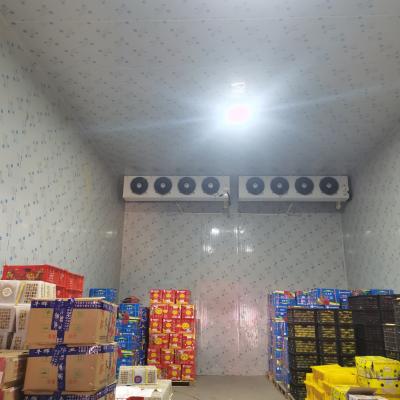 China R404a/R134a Frigorífico Frutas Sala de armazenamento a frio com intervalo de temperatura à venda